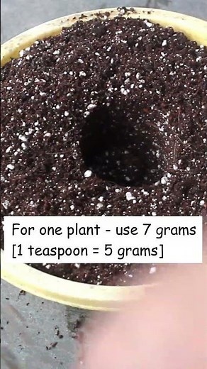 💪POWERFUL fertilizers for flowering plants