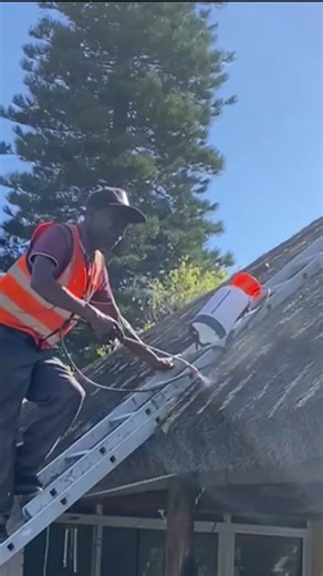 How to fireproof a thatch roof