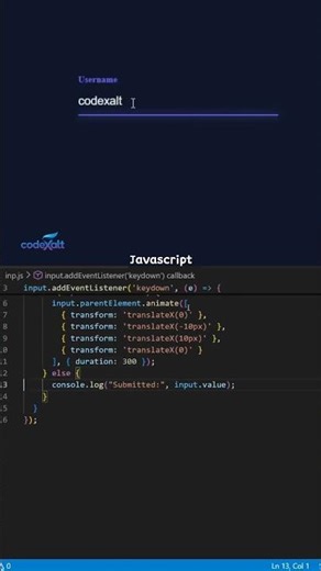 Input field with effects using HTML,CSS,and Javascript #shorts #coding #programming #viral #css