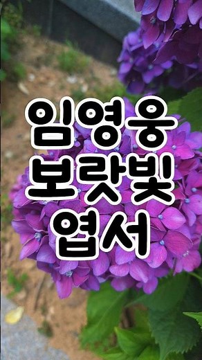 임영웅 '보라빛엽서' (가사) #임영웅 #임영웅유튜브 #보라빛엽서 #미스터트롯
