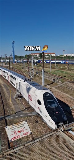 TGV M Train Spotting Highlights and Insights