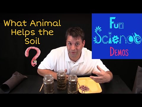 What Animal Helps the Soil?