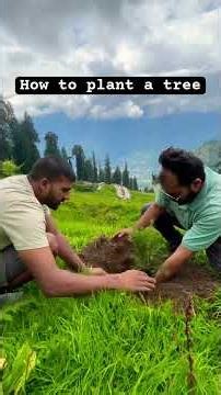 How to plant a tree!!!