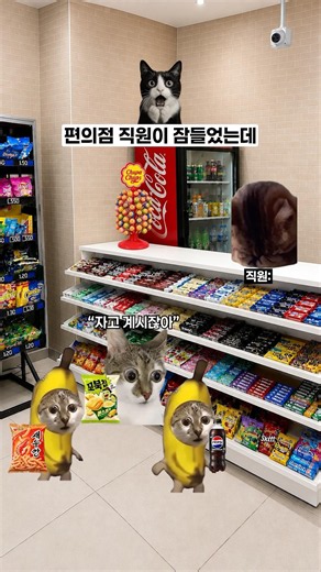 편의점 직원이 잠들었는데 😴
