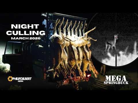 Headshots Springbuck Night Culling - MEGA SPRINGBUCK EXPERIENCE