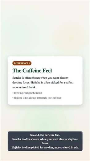 Sencha vs Hojicha: Which Fits Your Workday?