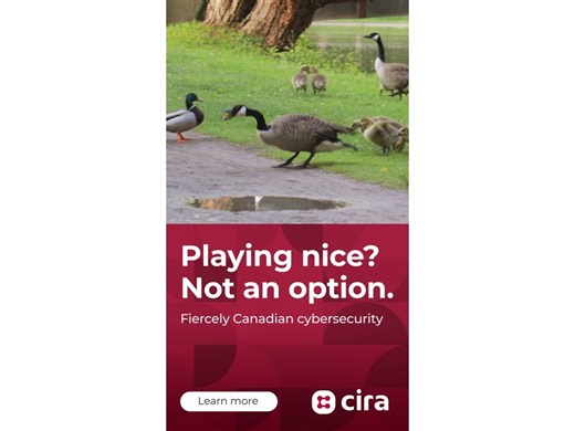 With "Cybersecurity that bites back," CIRA unleashes the fierceness of the Canada goose in a new ad campaign