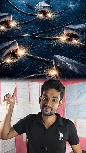 Why War is Stopping All Maintenance