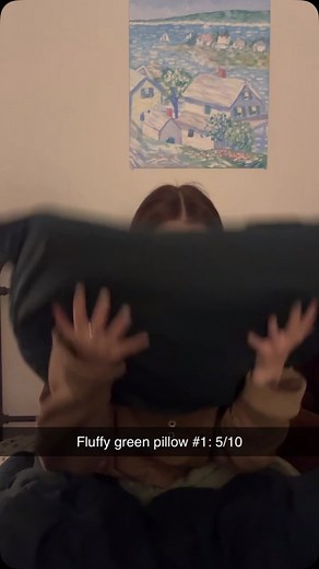 The Hivemind on Instagram: "Someone get these girls some more screamable pillows!!!🤣😇 #fyp #girls #pillows #scream"