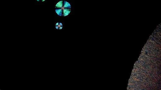 Microscopic Photography Print of Vitamin C 6 – Abstract Microscope Wall Art – Unique Science Gift - Etsy