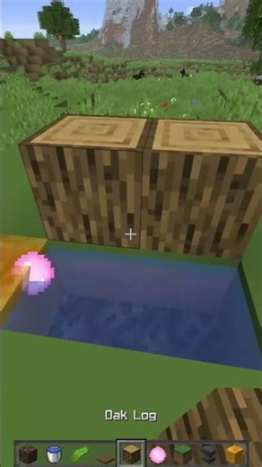Du baust Stasis Chambers FALSCH! 🤯 (Minecraft Tutorial)#minecraft #shorts #gaming