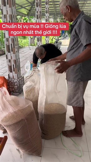 Giống lúa ngon nhất thế giới cho vụ mùa