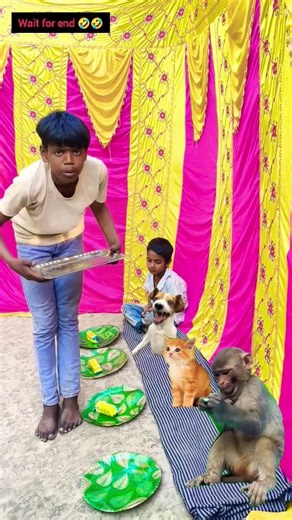 🤣😂 भोज में पता खतम 😂🤣 #viral #viralvideo #trending #shotrs #funny #funnyvideos #yt #ytstudioes #fun