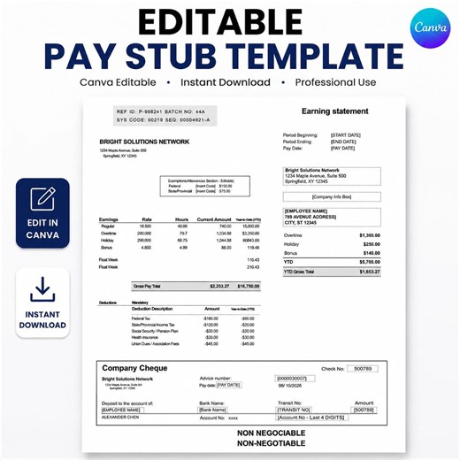 Editable Pay Stub Template | Employee Paycheck Stub | Canva Payroll Template | Printable Salary Slip | Earnings Statement - Etsy