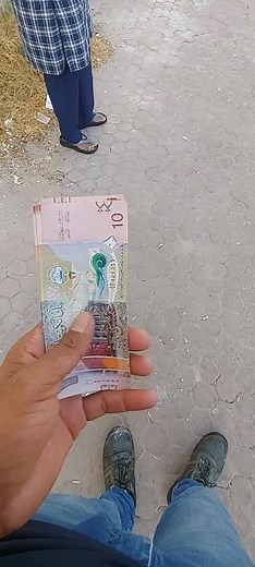 Understanding Currency: A Close Look at Banknotes