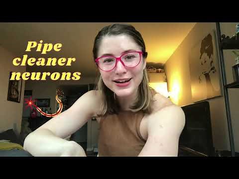 At-Home Activity: Pipe Cleaner Neurons