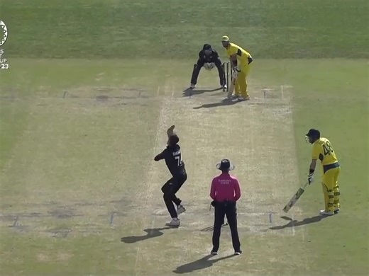 Glenn Maxwell's Performance Highlights in Cricket 2024