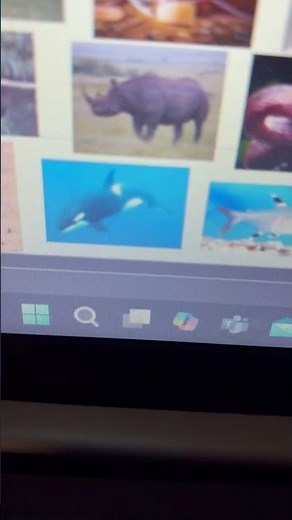 Dora The Explorer ABC Animals Song