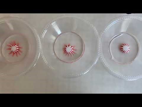 Peppermint Candy in Different Water - 6.2 Thermal Energy Lesson 10