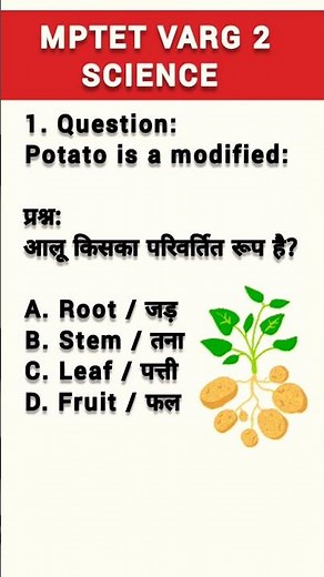 MPTET VARG 2 SCIENCE CLASS 6 CHAPTER 1 #mptetvarg2science #mptetverg2 #class6sciencechapter1