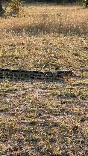 478K views · 9.4K reactions | SOMETHING FOR SATURDAY Another amazing...