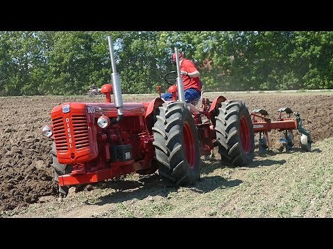 Tandem Tractors Working in The Field at Ferguson Days | Bukh, Ferguson & MF | DK Agri