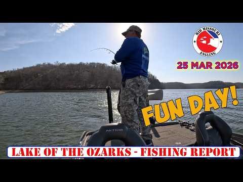 Lake of the Ozarks Bass Fishing - 25 Mar 2026 | Fishing report