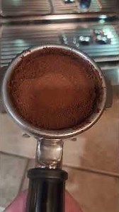 breville oracle touch issues