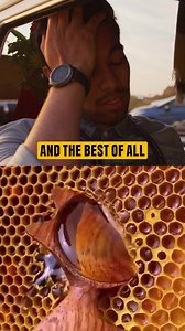 2K views | Feeling stressed and looking for something new to unwind?...