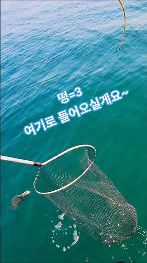 광어다운샷 바다낚시 광어입질 광따 fishing 팀몬스터호 낚시 #광어다운샷 #낚시 #fishing