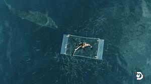 In 2020, one man survived the unimaginable: a human shark breach in the open Pacific. Two years later, an encounter with New Zealand’s Great Whites brings diving expert Jimi Partington inches away from his most revered challenge - and holy grail. 🌊 Watch the inspiring journey unfold with Great White Open Ocean at 10:30p ET on Discovery and streaming on discovery . | Shark Week