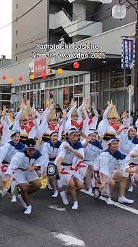 Yamato Shinbashi-ren Awa Odori 2025 | Japanese Traditional Dance Festival