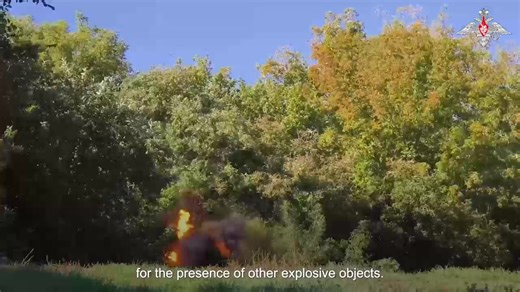 3.8K views · 301 reactions | EOD specialists of the International...