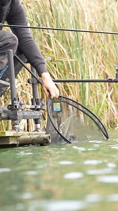 2.9K views · 233 reactions | One in the bag | Preston Innovations | Facebook