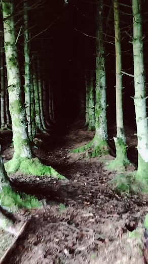 K4Ti3.Travels on TikTok