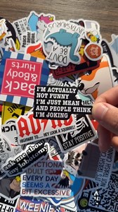 130 Pcs Funny Saying Stickers for Adults Quote Water Bottles Stickers Pack Waterproof Cool Accesory for Laptop, Bumper, Phone, Hard Hats, Wall, Window Decals