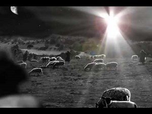 Christmas 26 | Free Worship Loop