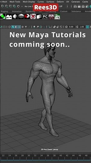 Maya 3D Character Animation - Muscular Male Character Wireframe