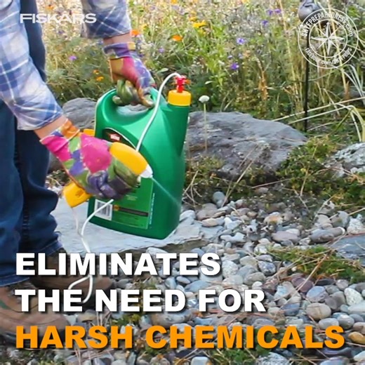 4.9K views | I love this weed puller for my garden, and for my back! Find it here! ➡️ https://amzn.to/2z6SRGD Add a 30gal collapsible weed bin! ➡️ https://amzn.to/2qRjmuU . We may earn a small commission from the above link at no cost to you | SHTF Prepping & Homesteading Central | Facebook