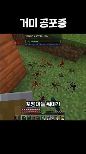 거미 공포증