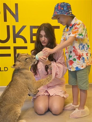 Experience Heartwarming Lion Feeding Moments at Café