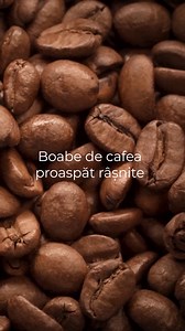 4.1K views · 48 reactions | Descoperă espressoarele automate care râşnesc boabele, personalizează fiecare aromă şi transformă ritualul cafelei acasă în artă. Explorează modelele pe site şi alege‑ţi companionul de dimineaţă. | De'Longhi România | Facebook