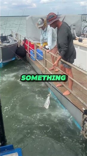 Giant Fish Explodes From the Water 😳🐟