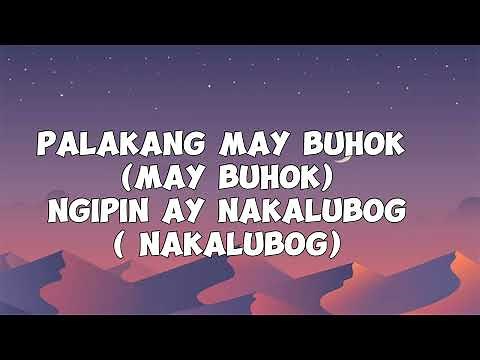 PINK PALAKA - ANDREW E (LYRICS)