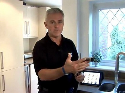 How To Get Rid Of Ladybugs