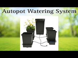 Autopot Gravity Fed Watering System