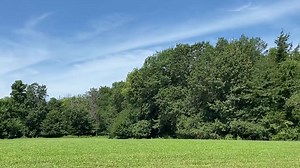 This easily established annual mix gives hunters a green, ready-to-hunt food plot in as little as 2-3 weeks! The beauty of this blend is that CRUSH® Seeds of Science® No Till Field Mix grows quickly and easily in less-than-perfect conditions, making it a great choice for areas with low to moderate sunlight, poor soil conditions, or in small or hard-to-reach kill plots. This easy, NO TILL option gives hunters the freedom to plant without tilling the soil or the use of expensive equipment, making 