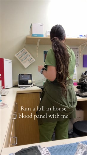 Behind the Scenes at a Veterinary Hospital
