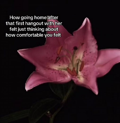 The Comfort of Coming Home After Time Together