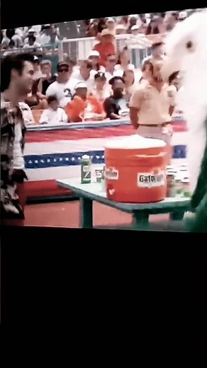ace Ventura pet detective fight